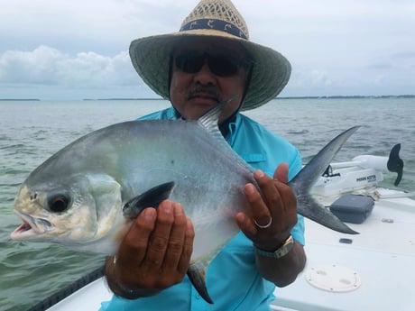 Permit fishing in Tavernier, Florida