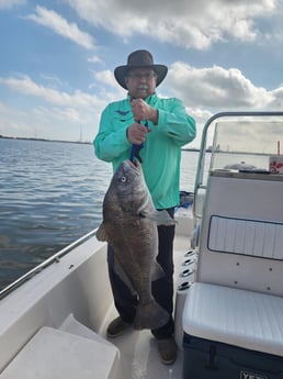 Black Drum Fishing in Galveston, Texas