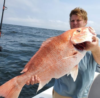 Red Snapper fishing in Port Aransas, Texas