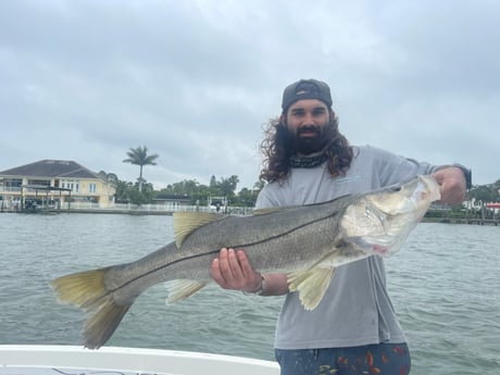 Snook fishing in Clearwater, Florida