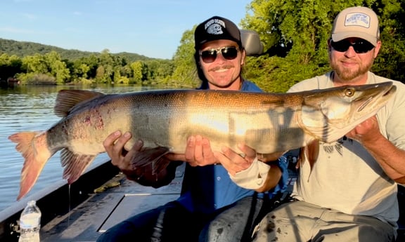 Muskie fishing in Knoxville, Tennessee
