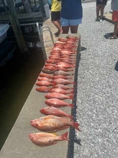 Red Snapper, Vermillion Snapper Fishing in Destin, Florida