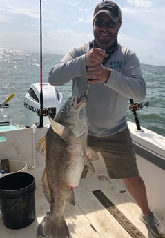 Black Drum fishing in Freeport, Texas