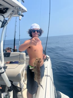 Scamp Grouper Fishing in Mount Pleasant, South Carolina