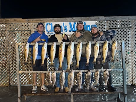 Black Drum, Redfish Fishing in Corpus Christi, Texas