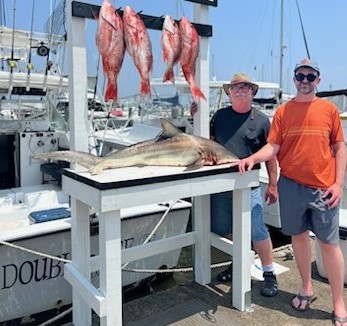 Blacktip Shark, Red Snapper Fishing in Destin, Florida