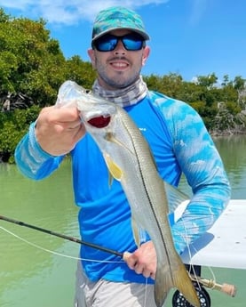 Snook fishing in Tavernier, Florida