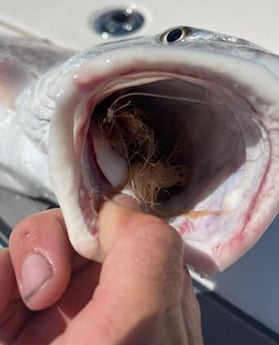 Redfish fishing in Wrightsville Beach, North Carolina