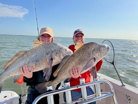 Black Drum fishing in Galveston, Texas