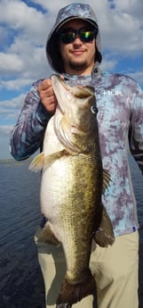 Largemouth Bass fishing in Fort Lauderdale, Florida