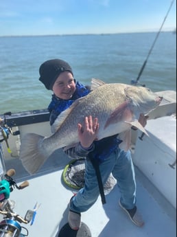 Black Drum fishing in Galveston, Texas