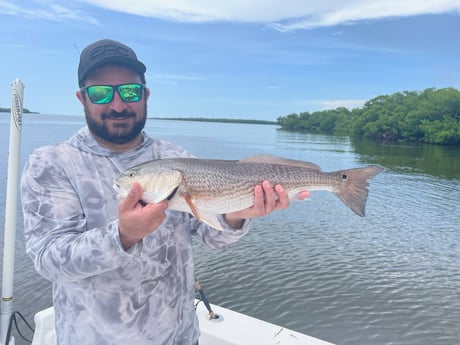 Fishing in Chokoloskee, Florida