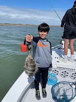 Sheepshead, Speckled Trout / Spotted Seatrout fishing in Corpus Christi, Texas