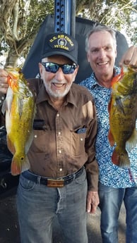 Peacock Bass Fishing in Fort Lauderdale, Florida