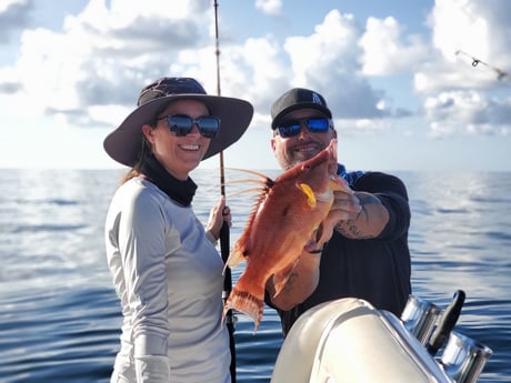 Hogfish fishing in Clearwater, Florida