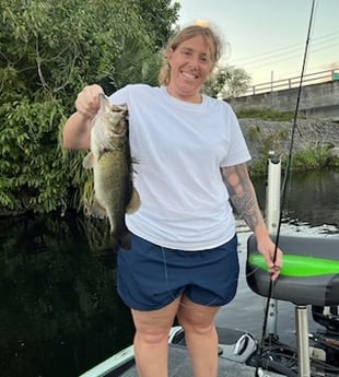 Largemouth Bass Fishing in Boca Raton, Florida