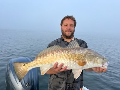 Fishing in New Orleans, Louisiana