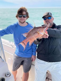 Gag Grouper fishing in Clearwater, Florida