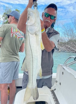 Snook fishing in Naples, Florida