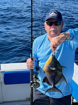 Fishing in Riviera Beach, Florida