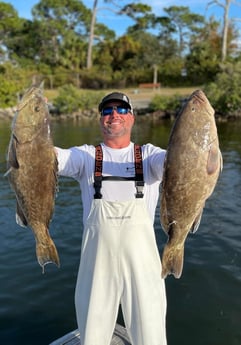 Gag Grouper fishing in Clearwater, Florida