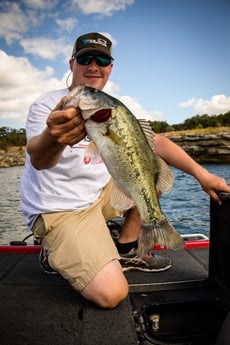 Largemouth Bass fishing in Austin, Texas