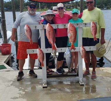 Little Tunny / False Albacore, Red Snapper fishing in Panama City, Florida