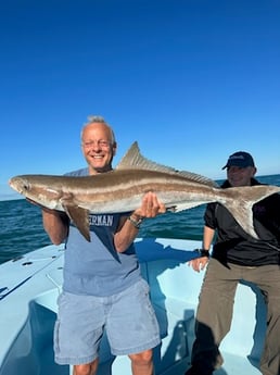 Cobia Fishing in Key West, Florida