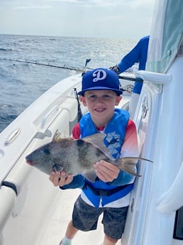 Triggerfish Fishing in Pensacola, Florida