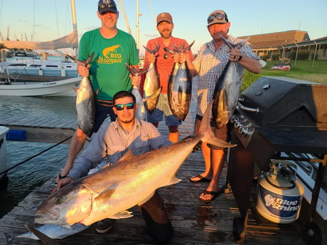 Amberjack fishing in Port Isabel, Texas