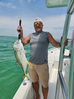 Jack Crevalle Fishing in Pensacola, Florida