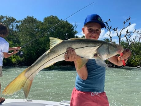 Snook fishing in Key Largo, Florida