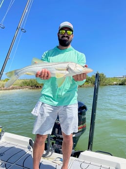 Snook fishing in Clearwater, Florida