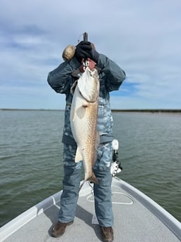 Redfish Fishing in Boothville-Venice, Louisiana