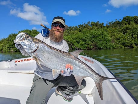 Tarpon Fishing in Carolina, Carolina