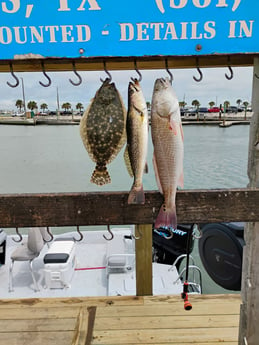 Fishing in Corpus Christi, Texas