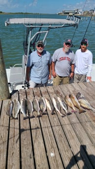 Black Drum, Redfish, Speckled Trout / Spotted Seatrout fishing in Port O&#039;Connor, Texas