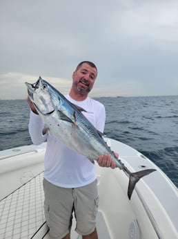 Little Tunny / False Albacore fishing in Fort Lauderdale, Florida