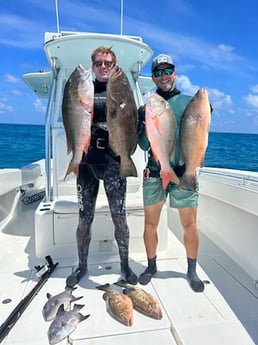 Black Grouper, Mutton Snapper, Red Grouper, Triggerfish Fishing in Islamorada, Florida