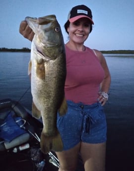 Largemouth Bass fishing in Austin, Texas