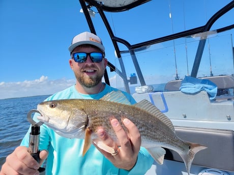 Redfish Fishing in Rio Hondo, Texas