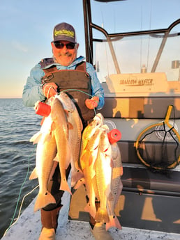 Redfish Fishing in Rio Hondo, Texas