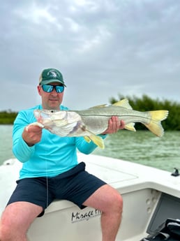 Snook Fishing in Islamorada, Florida