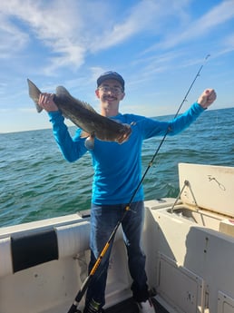 Fishing in Belleair Bluffs, Florida