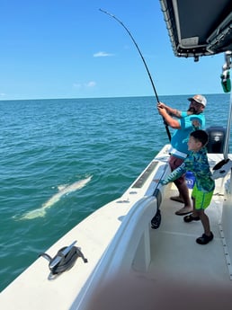 Blacktip Shark Fishing in Galveston, Texas