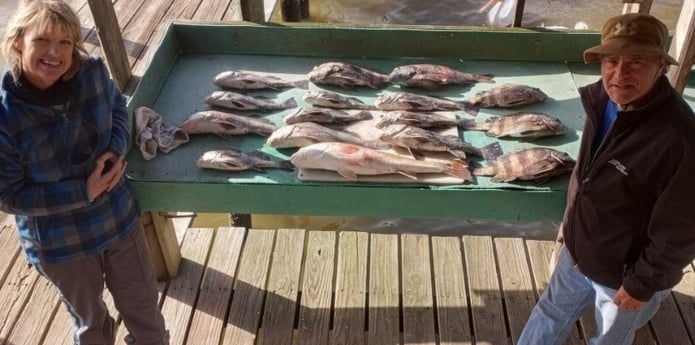 Black Drum, Redfish, Sheepshead fishing in Houston, Texas