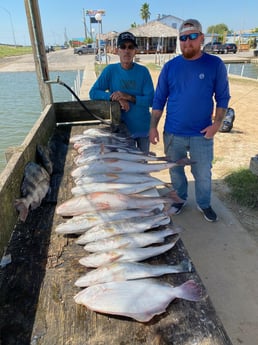 Flounder, Redfish, Sheepshead, Speckled Trout / Spotted Seatrout fishing in Galveston, Texas