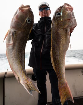 Tilefish fishing in Galveston, Texas