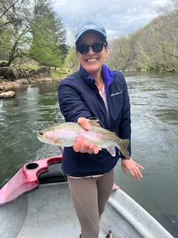 Brown Trout fishing in Leicester, North Carolina