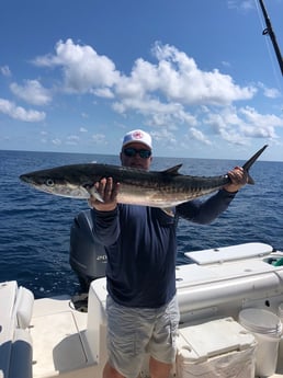 King Mackerel / Kingfish fishing in Galveston, Texas